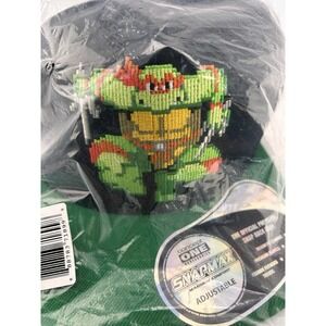 Concept One Unisex-Adult Teenage Mutant Ninja Turtles Adult Skater Snapback Hat
